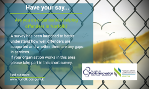 Strategic Needs Assessment - Offender Survey 