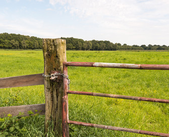 View of field and gate