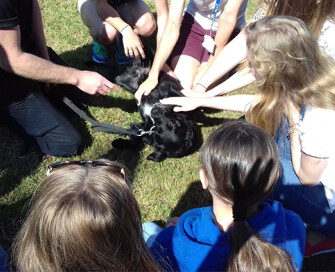 Birds eye close up of circle of young people petting police dog