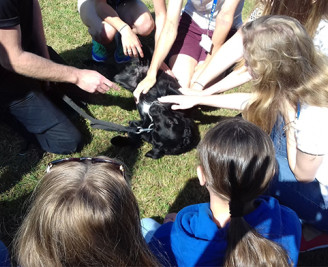 Birds eye close up of circle of young people petting police dog