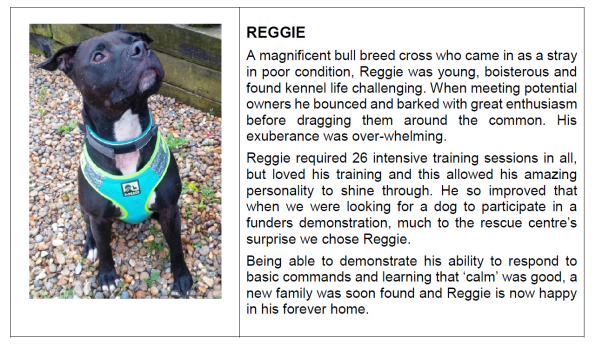 Meadowgreen sales animal rescue